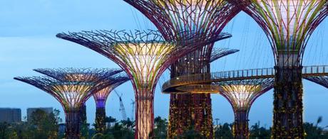singapur jardin del futuro 2