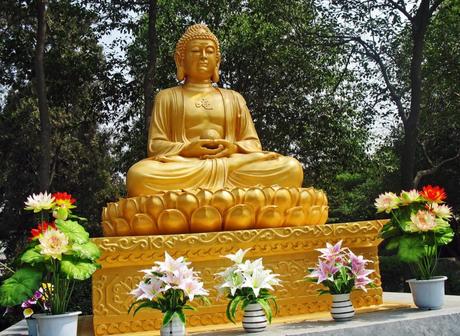 El Buda y el dinero. Parte 1