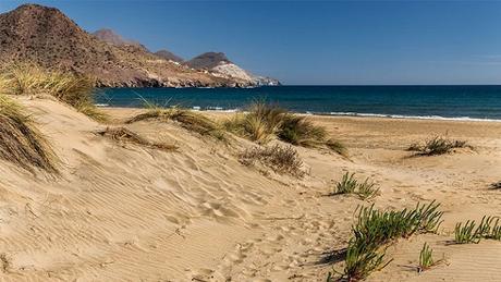 playa_genoveses