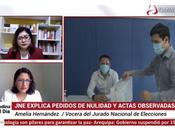 JNE: conoce cuatro causales para solicitar nulidad