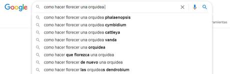 Diseño Web y SEO:  6 Puntos a seguir para mejorarlo.
