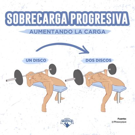 Para progresar correctamente en el gimnasio y conseguir t... Para progresar correctamente en el gimnasio y conseguir t...