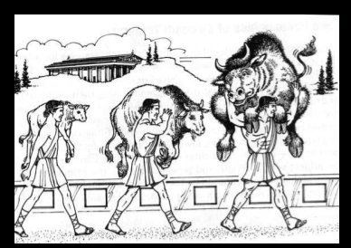 Para progresar correctamente en el gimnasio y conseguir t... Para progresar correctamente en el gimnasio y conseguir t...