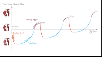 Para progresar correctamente en el gimnasio y conseguir t... Para progresar correctamente en el gimnasio y conseguir t...