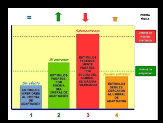 Para progresar correctamente en el gimnasio y conseguir t... Para progresar correctamente en el gimnasio y conseguir t...