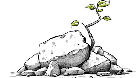 ¿Cómo se conectan el estrés, el mindfulness y la resiliencia? Cuando cambiar la pregunta ayuda a encontrar la respuesta Resiliencia empresarial: cómo potenciarla en época de crisis | Recursos Humanos | Apuntes empresariales | ESAN