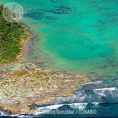 Ecosistemas IX: Playas de arena y rocas