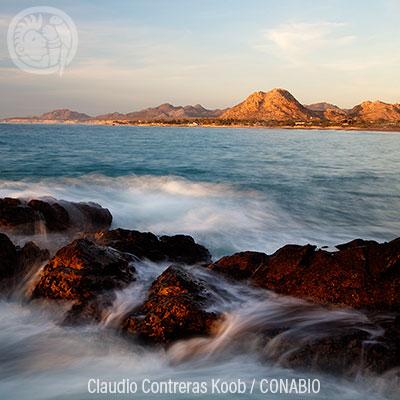 Ecosistemas IX: Playas de arena y rocas