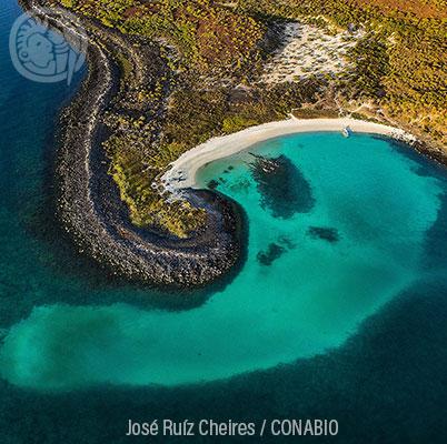 Ecosistemas IX: Playas de arena y rocas