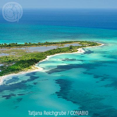 Ecosistemas IX: Playas de arena y rocas