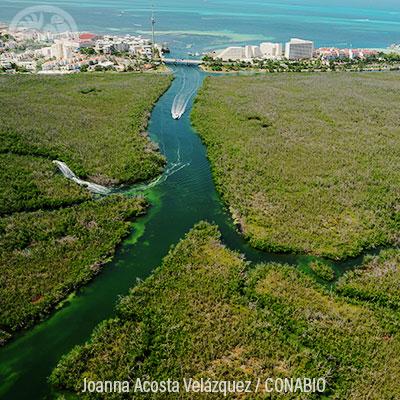 Ecosistemas IX: Playas de arena y rocas