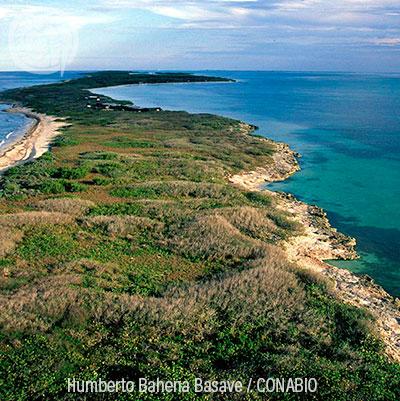 Ecosistemas IX: Playas de arena y rocas