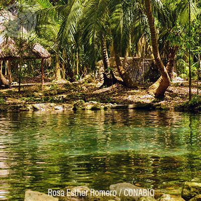 Ecosistemas IX: Playas de arena y rocas