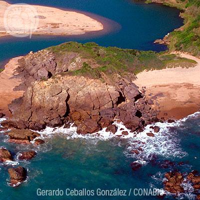 Ecosistemas IX: Playas de arena y rocas