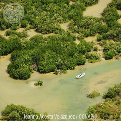 Ecosistemas IX: Playas de arena y rocas