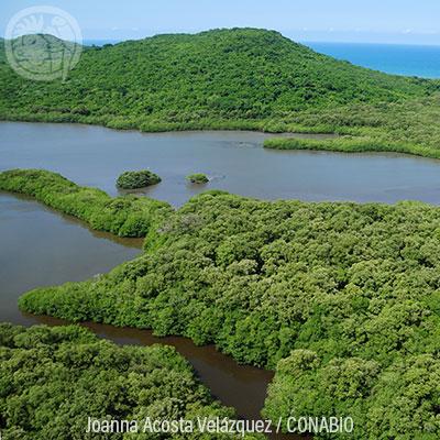 Ecosistemas IX: Playas de arena y rocas