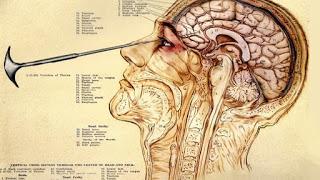 Los horrores de la ciencia Los horrores de la ciencia
