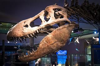 ¿Está sobrevalorado el T. rex?