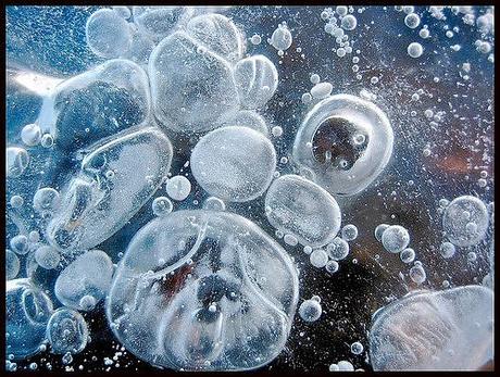 Origen de la vida (1)