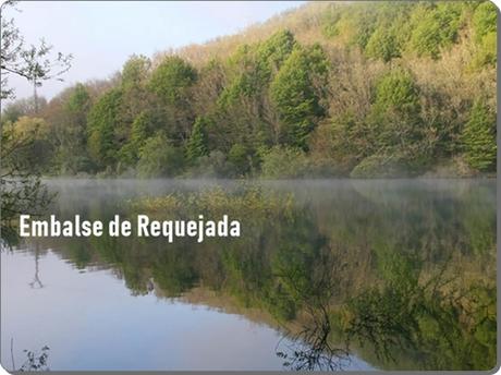 Ruta de los pantanos