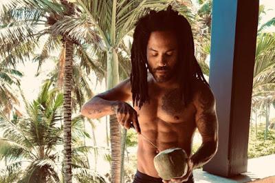 Lenny Kravitz - Raise vibration (2018)