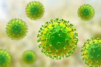 El Virus Nipah podria causar una nueva Pandemia