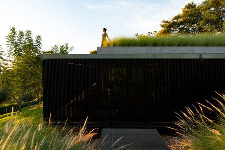 Casa Horizonte, San Bernardino, Paraguay / Arq. Aldo Cristaldo Kegler + Arq. Dario Mereles Horizonte-4