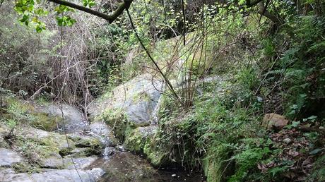 Torrent de les Tres Serres