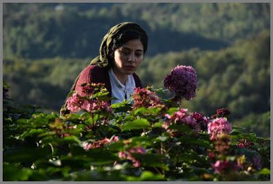 La vida de los demás; Contra la pena de muerte La vida de los demás; Contra la pena de muerte