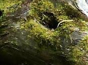 difuso límite entre realidad ficción