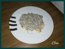 Gulas con gambas al ajillo