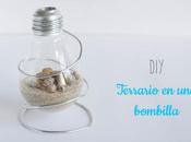 DIY: Terrario bombilla