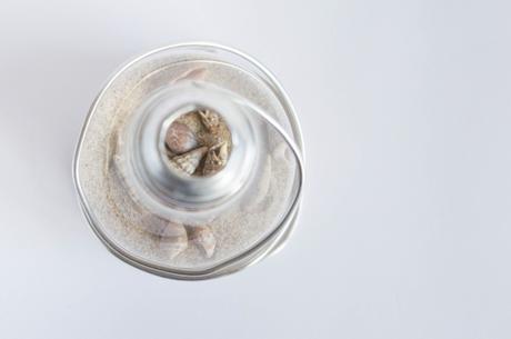 DIY: Terrario en una bombilla