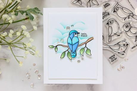 Spring Bird Spring Bird