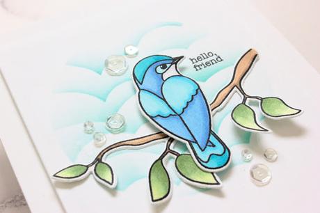 Spring Bird Spring Bird