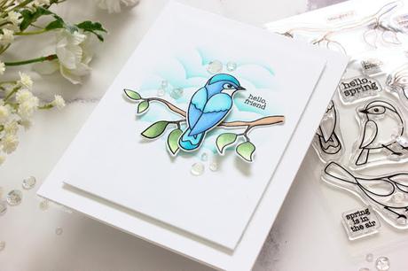 Spring Bird Spring Bird