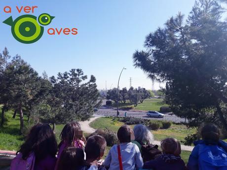 “Gracias por enseñarnos, profe”