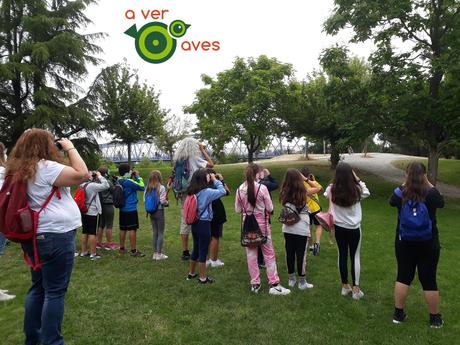 “Gracias por enseñarnos, profe”