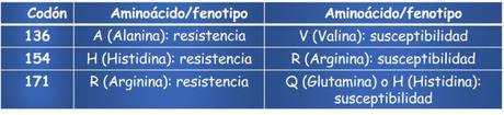 Actividad de aprendizaje : Genotipos y susceptibilidad al scrapie (tembladera) en ovejas