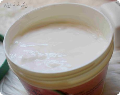 GARNIER FRUCTIS, Watermelon Hair Food