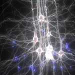 Cómo hacer un buen currículum vitae Presentaciones, empleo y cerebro. WebPsicólogos recomienda (semana 41)