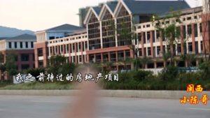 亚博APP官方版-美一火鸡养殖场爆发禽流感