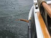 Escribir abordar mundo partir cero