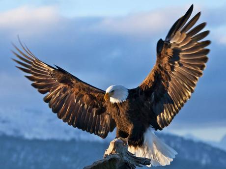 PARQUE NACIONAL KATMAI 