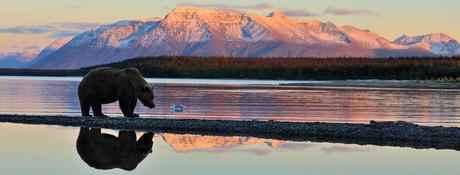 El Parque Nacional Katmai, habitado por osos grizzly