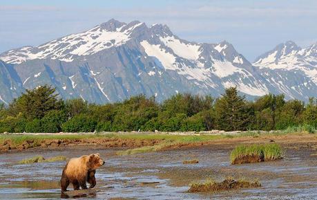 PARQUE NACIONAL KATMAI