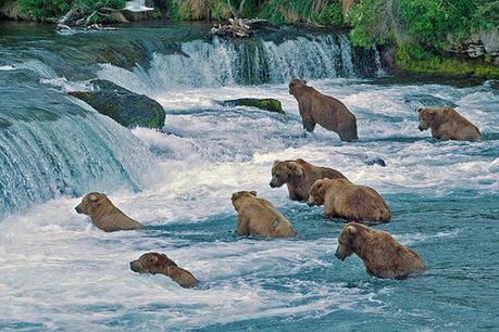 PARQUE NACIONAL KATMAI 