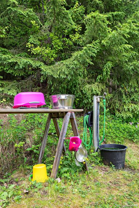 delikatissen verano sueco verano nórdico swedish summer house swedish summer scandinavian summer house relaxed Swedish Summer red scandinavian cabin pequeña cabaña en el bosque decoración cabaña rústica nórdica cottage by the lake casa de verano escandinava cabaña roja de madera cabaña sueca  