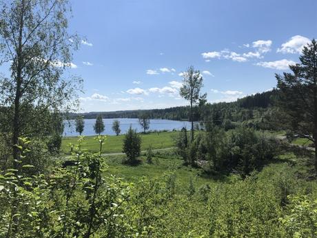 delikatissen verano sueco verano nórdico swedish summer house swedish summer scandinavian summer house relaxed Swedish Summer red scandinavian cabin pequeña cabaña en el bosque decoración cabaña rústica nórdica cottage by the lake casa de verano escandinava cabaña roja de madera cabaña sueca  