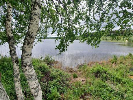 delikatissen verano sueco verano nórdico swedish summer house swedish summer scandinavian summer house relaxed Swedish Summer red scandinavian cabin pequeña cabaña en el bosque decoración cabaña rústica nórdica cottage by the lake casa de verano escandinava cabaña roja de madera cabaña sueca  